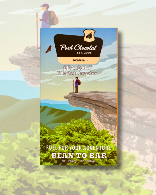 Sea Salt Dark Chocolate Bar